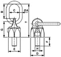 Lifting eye with pin VWBG class 8 RUD