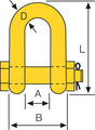 schackle Svero