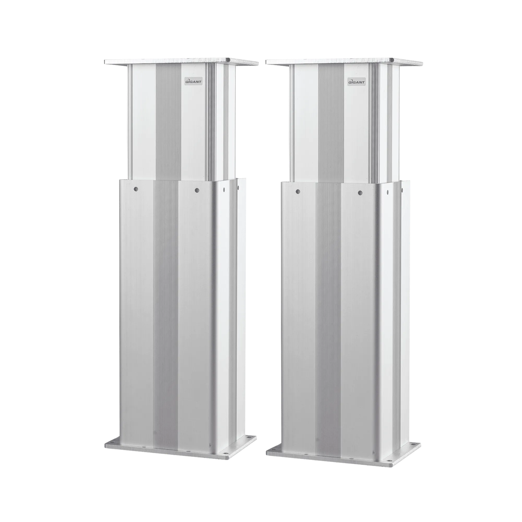 Gigant lifting column LP 200 electric drive from 6000 N 2 - parallel system